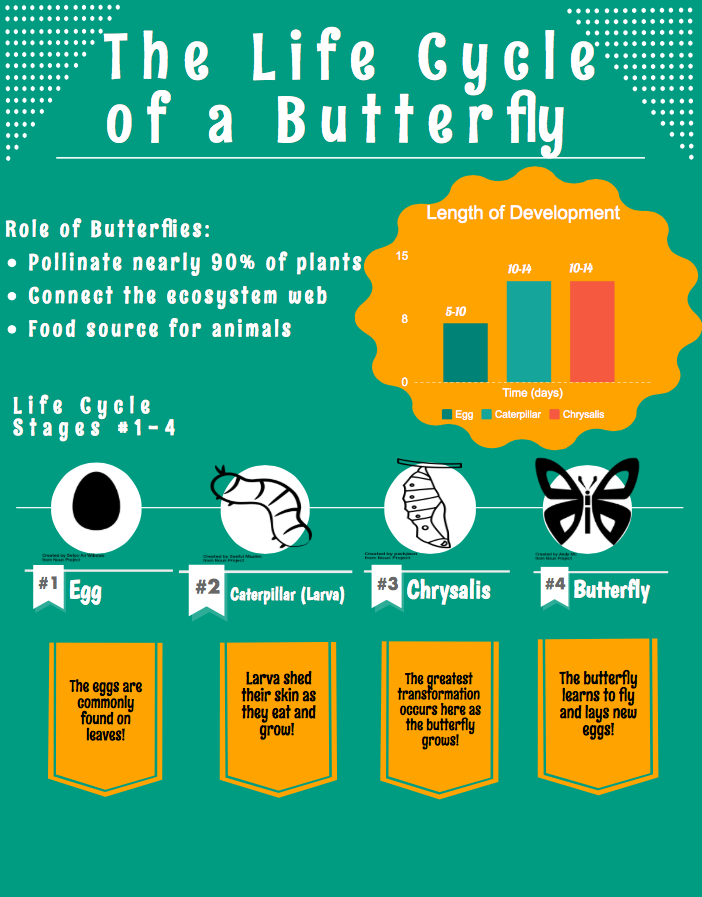 Infographic Made With Piktochart Miss Emily Herbers